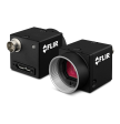 Teledyne FLIR BFS-U3-31S4M-C Fashion